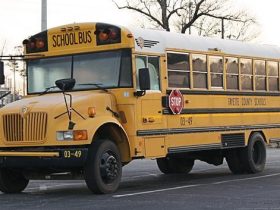 How Long Does it Take to Get a Ticket for Passing a School Bus